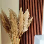 Duric トゥズラ