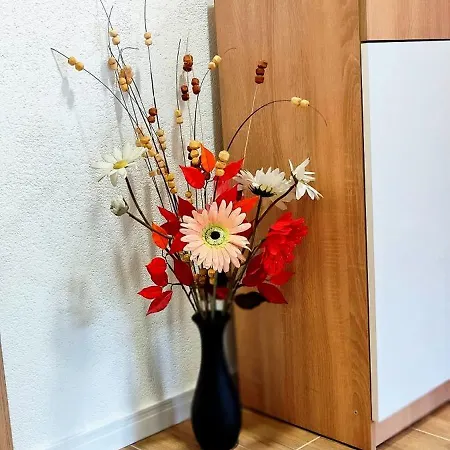 Apartment Duric *